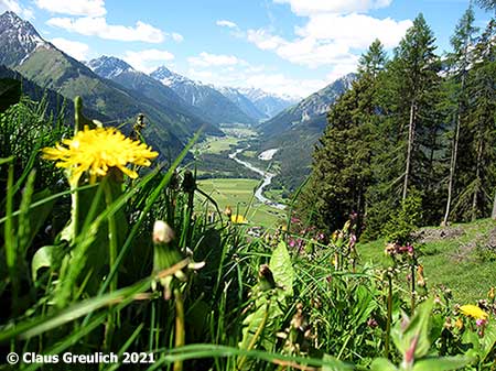 Blumenwiesen garnieren den weiten Talblick Foto: Blumenwiesen garnieren den weiten Talblick